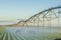 菜園實時監測依靠土壤墑情檢測儀