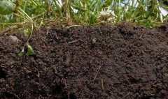 土壤墑情監(jiān)測有什么意義