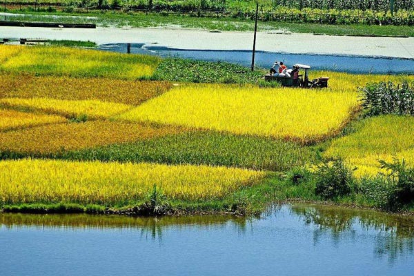 土壤墑情自動(dòng)監(jiān)測站淺析