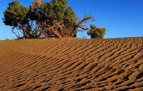 基于物聯網的區域農田土壤墑情監測系統