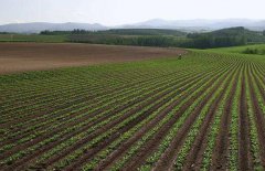 神經網絡法能用于土壤墑情預測嗎？