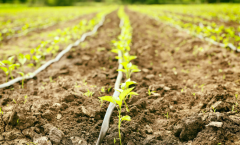 為什么要開展土壤墑情監測工作？