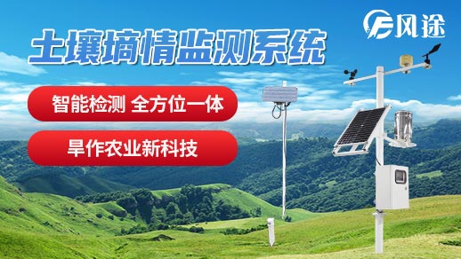 土壤墑情監測系統助力玫瑰的種植